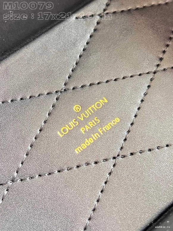 WIS Box Camera VUITTON Monogram Canvas LOUIS 1019